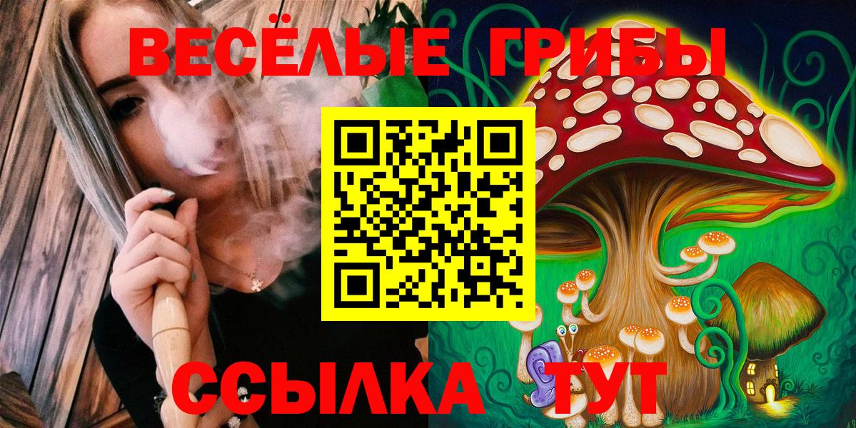 Галлюциногенные грибы Cubensis Борзя