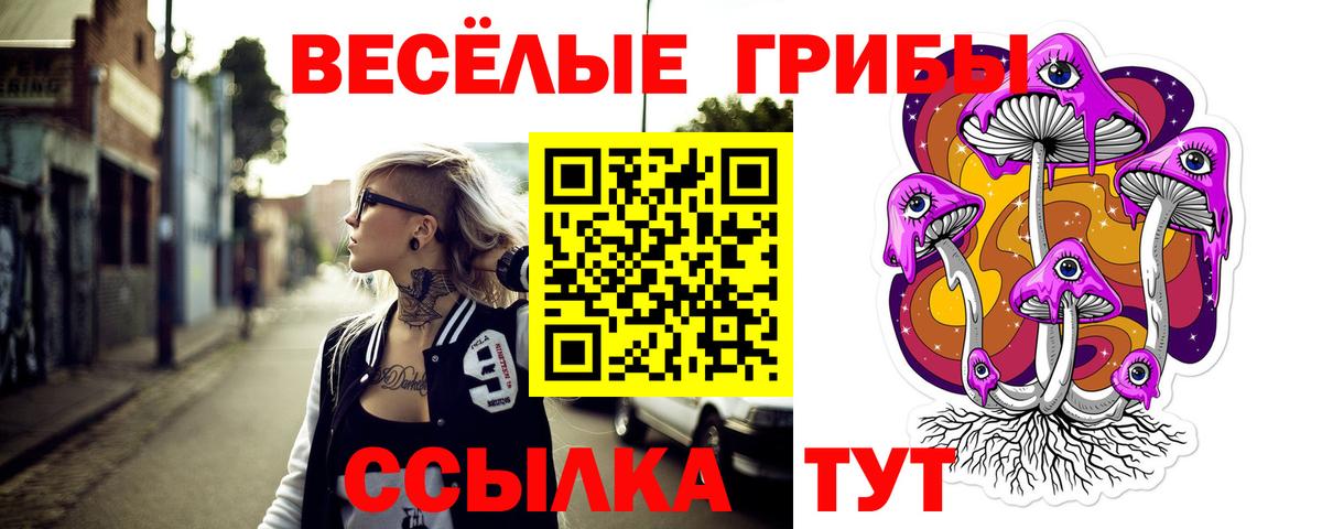 Псилоцибиновые грибы Magic Shrooms  Вход с VPN  Борзя 